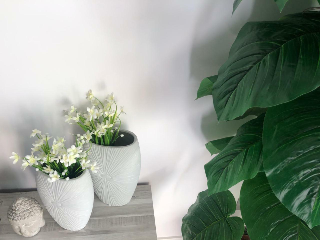 La Moderna Apartament ซาลอว์ ภายนอก รูปภาพ
